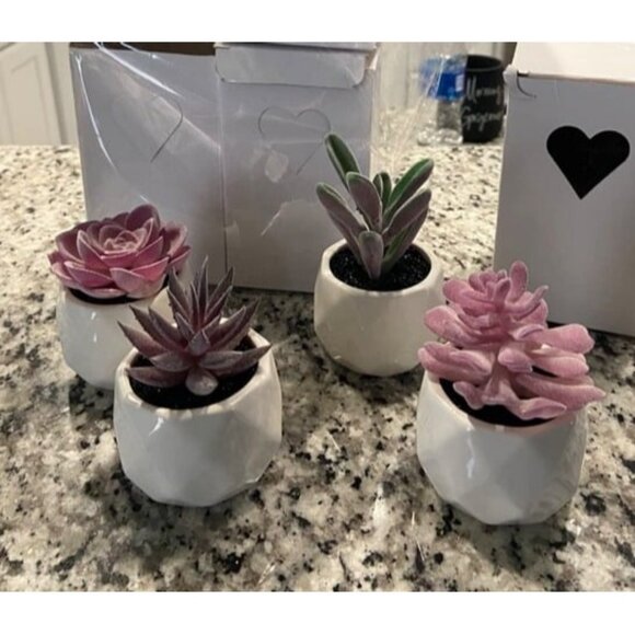 New Purple Artificial Faux Succulents in Pots, Mini Purple Fake Plants for Women - Picture 1 of 1